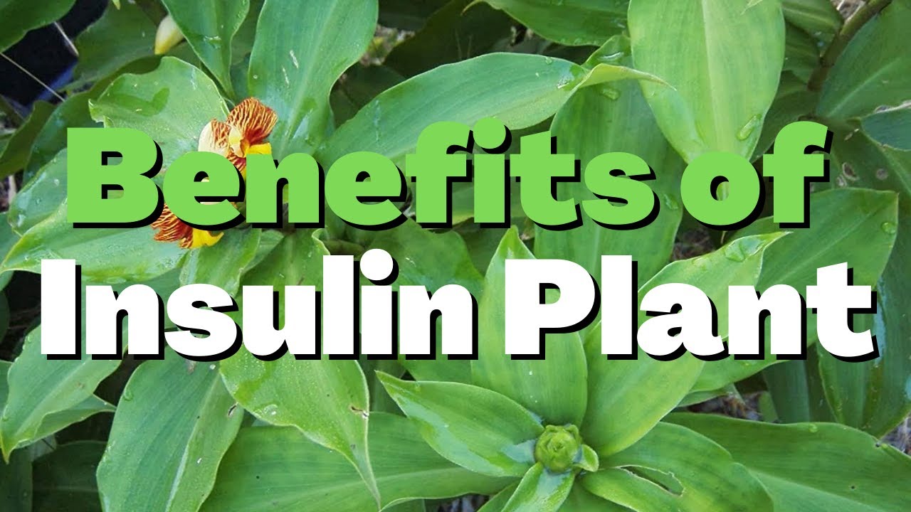 benefits of insulin
