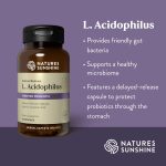 The Powerhouse, Incredible Benefits of Lactobacillus Acidophilus benefits of lactobacillus acidophilus