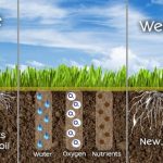 Revitalize Your Lawn, Astonishing Benefits of Lawn Aeration benefits of lawn aeration