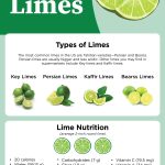 Zesty Refreshment, Incredible Benefits of Lemon Lime Water benefits of lemon lime water