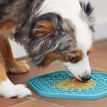 Lick Mat Love, Pawsome Benefits for Your Furry Friend benefits of lick mat for dog
