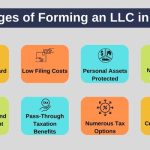 The Sunshine State’s Potential, Benefits of LLC in Florida benefits of llc in florida