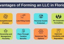 The Sunshine State’s Potential, Benefits of LLC in Florida benefits of llc in florida