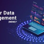 The Power of Master Data Management, Benefits for Your Business benefits of master data management