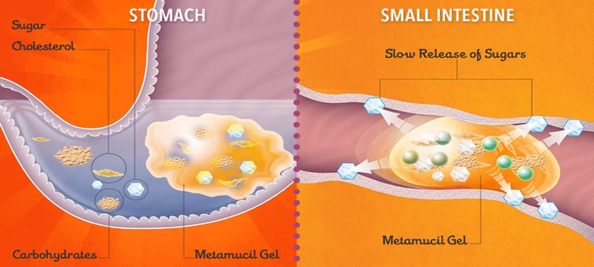 benefits of metamucil daily