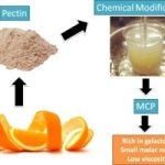 The Power of Modified Citrus Pectin, Its Incredible Benefits benefits of modified citrus pectin