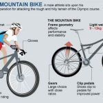 The Thrill, 7 Incredible Benefits of Mountain Biking benefits of mountain biking