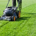 Secret Power of Mulching Grass, 5 Incredible Benefits Revealed benefits of mulching grass