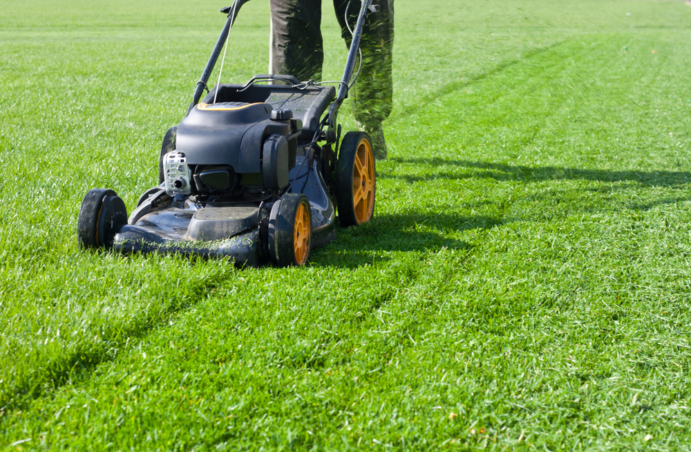 benefits of mulching grass