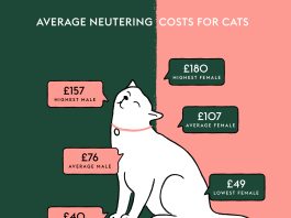 benefits of neutering cat