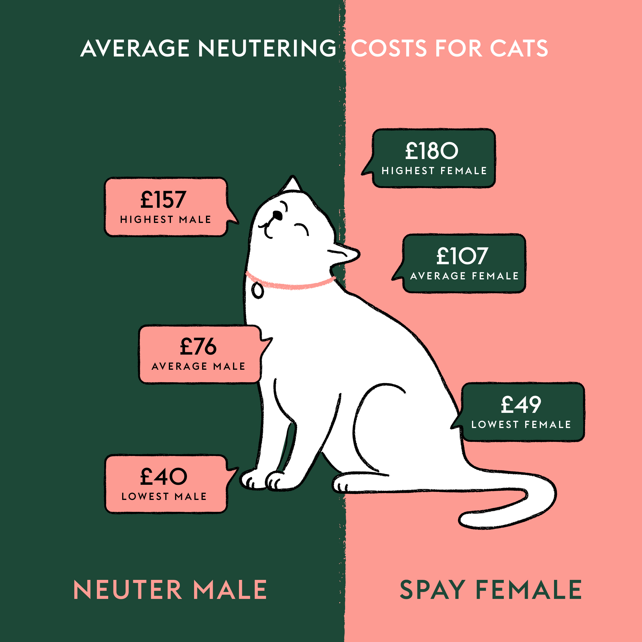 benefits of neutering cat