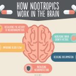 Your Brain’s Potential, Astonishing Benefits of Nootropics benefits of nootropics