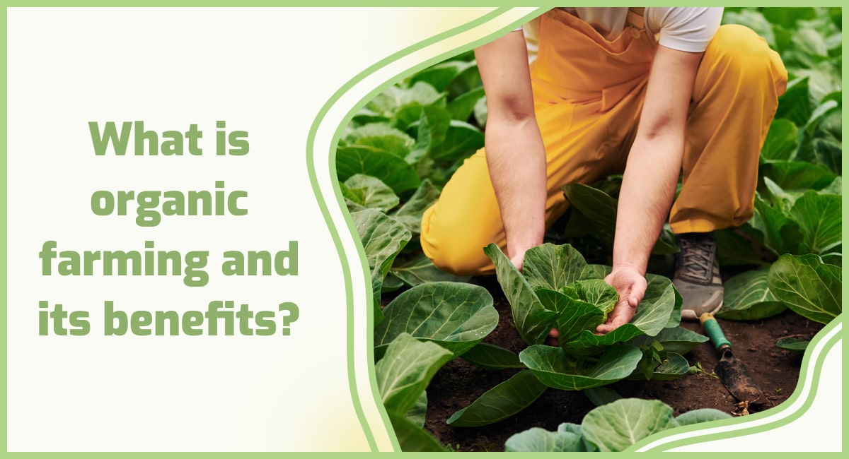 benefits of organic farming