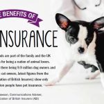 Pawsitive Protection, the Benefits of Pet Insurance benefits of pet insurance
