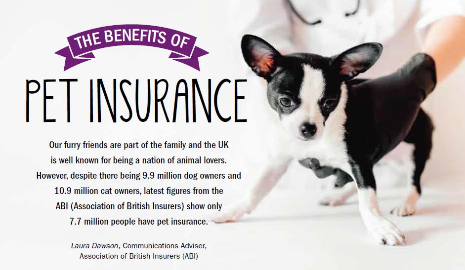 benefits of pet insurance