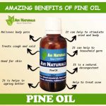 The Power of Pine Essential Oil, Its Incredible Benefits benefits of pine essential oil