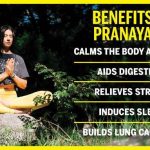 Breathe In, Bliss Out, the Incredible Benefits of Pranayama benefits of pranayama