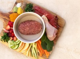 benefits of raw food diet for dogs