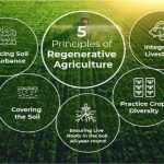Revolutionizing Agriculture, Remarkable Benefits of Regenerative Farming benefits of regenerative agriculture