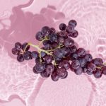 Fountain of Youth, the Incredible Benefits of Resveratrol Supplements benefits of resveratrol supplements
