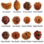 The Mystical Powers, Incredible Benefits of Rudraksha Beads benefits of rudraksha