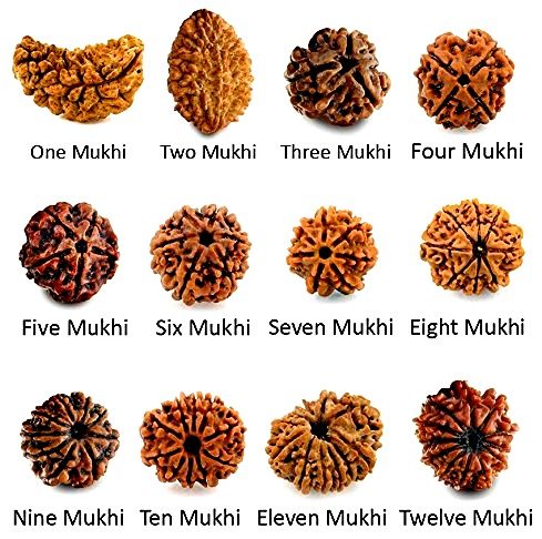 benefits of rudraksha