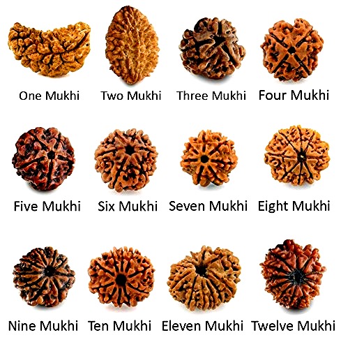 benefits of rudraksha