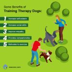 The Incredible Benefits of Service Dogs, A Life-Changing Bond benefits of service dogs