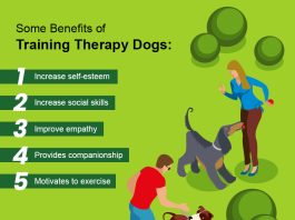 benefits of service dogs