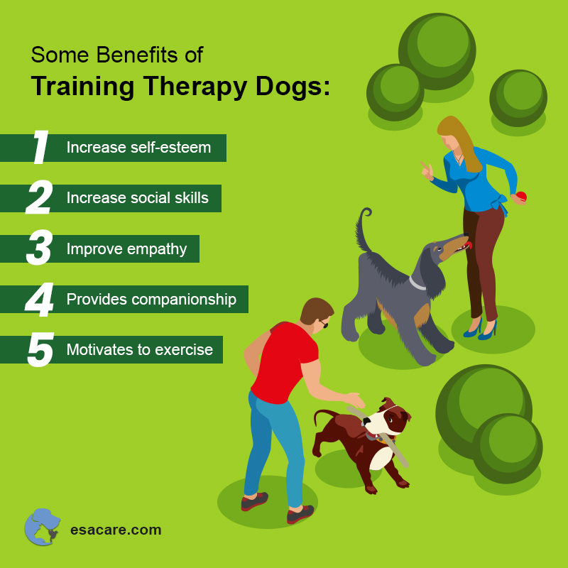 benefits of service dogs