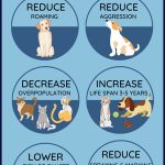 The Many Benefits of Spaying Your Pet