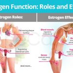 5 Incredible Benefits of Taking Estrogen for Women’s Health benefits of taking estrogen
