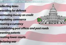 The Powerhouse, 5 Incredible Benefits of the Federal Government benefits of the federal government