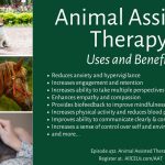 Happiness, The Incredible Benefits of Therapy Dogs benefits of therapy dogs