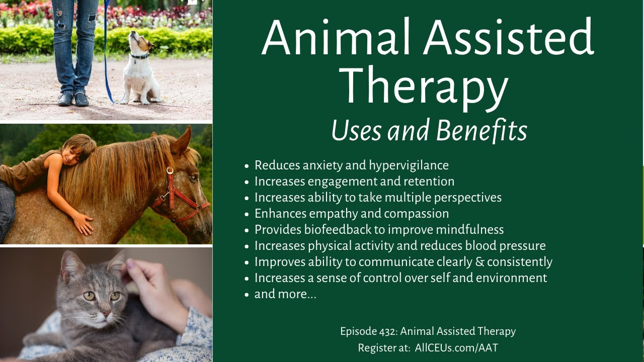benefits of therapy dogs