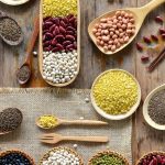 Power Up Your Workout with Vegan Protein Powder, the Benefits benefits of vegan protein powder