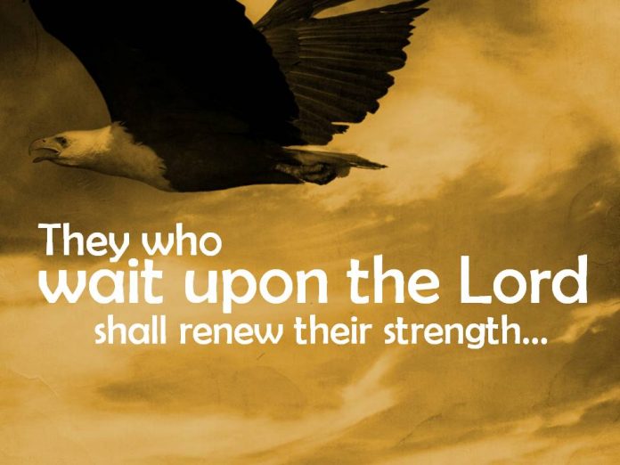 The Marvels, 7 Incredible Benefits of Waiting Upon the Lord