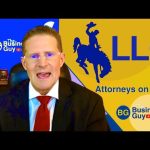 The Power of Wyoming LLC, Benefits of This Business Structure benefits of wyoming llc