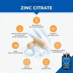 The Power of Zinc Citrate, 7 Incredible Benefits You Need to Know benefits of zinc citrate