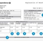 Blue Cross Blue Shield Summary of Benefits, Your Key to Understanding Health Coverage blue cross blue shield summary of benefits