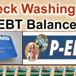 Snap Benefits Update, Stay Informed and Check Your Status Today check status of snap benefits