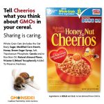 Crunching to Wellness, Surprising Health Benefits of Cheerios health benefits of cheerios