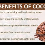 Cocao, Surprising Health Benefits of this Delicious Superfood health benefits of cocao