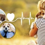 The Healing Power, Surprising Health Benefits of Dogs health benefits of dogs