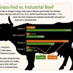 The Power of Grass-Fed Beef, its Incredible Health Benefits health benefits of grass fed beef