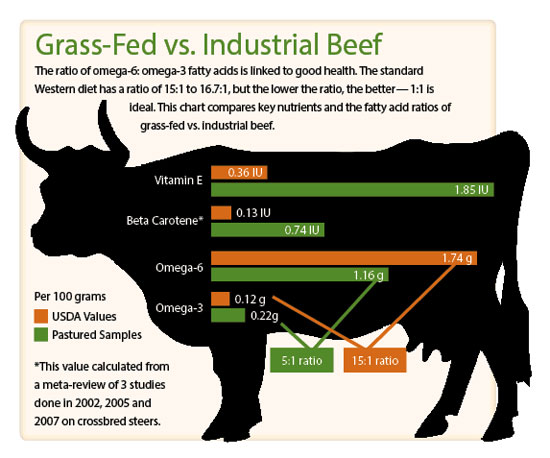health benefits of grass fed beef