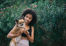 Pawsitive Effects, the Health Benefits of Having a Dog health benefits of having a dog