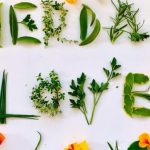 The Hidden Treasures, Astonishing Health Benefits of Herbs health benefits of herbs
