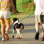 The Power of Pawsitivity, Incredible Health Benefits of Owning a Dog health benefits of owning a dog