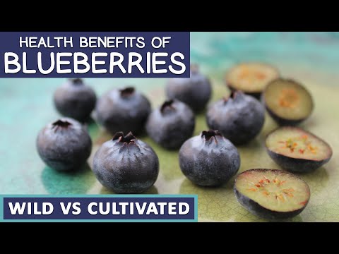 health benefits of wild blueberries